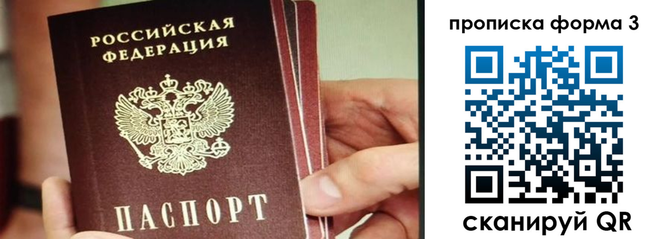 прописка законно в Заинске